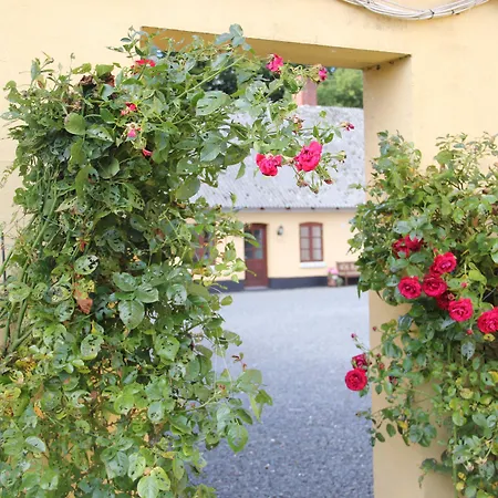 Munkebjerg Bed & Breakfast-2